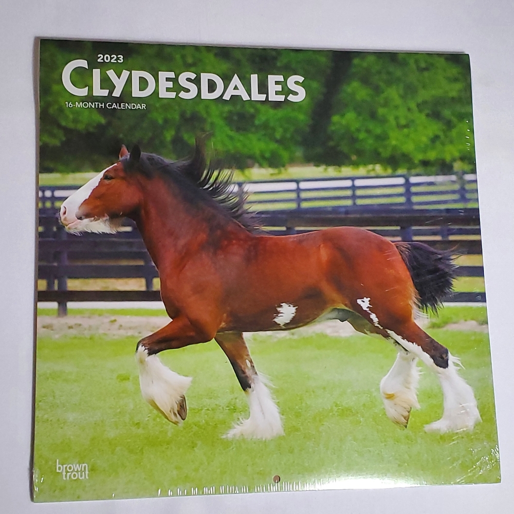 Clydesdales 2023 Square Wall (Calendar) 12"x12" Equestrian Horse Lovers Prints.